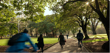 Prince Alfred Park Photo